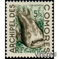 T 3/5 Coelacanthe