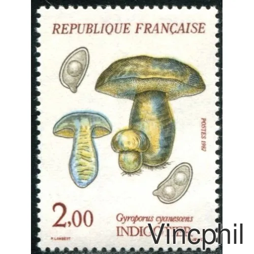 2488/2491 ** Flore Champignons