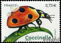 5147 ** Coccinelle