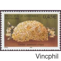 584 ** Champignon