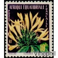 243/244 * Flore