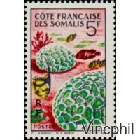 316/317 ** Faune coralienne