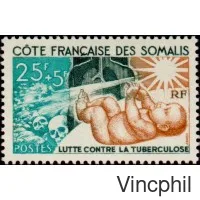 324 ** Lutte contre la Tuberculose