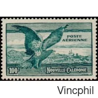 PA 53 * Oiseau