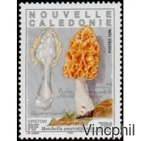 749/751 ** Champignons