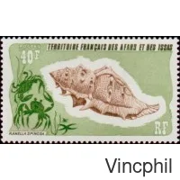 394 ** Coquillage
