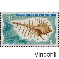 414 ** Coquillage