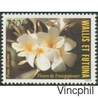 PA 134 ** Flore