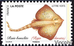 BC 1683 ** Faune aquatique