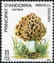 AND ESP 170 ** Champignon