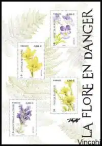 F 5322 ** Fleurs de France