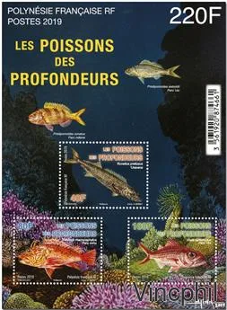 BF 50 ** Poissons des profondeurs