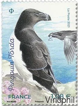 5459 ** Pingouin Torda