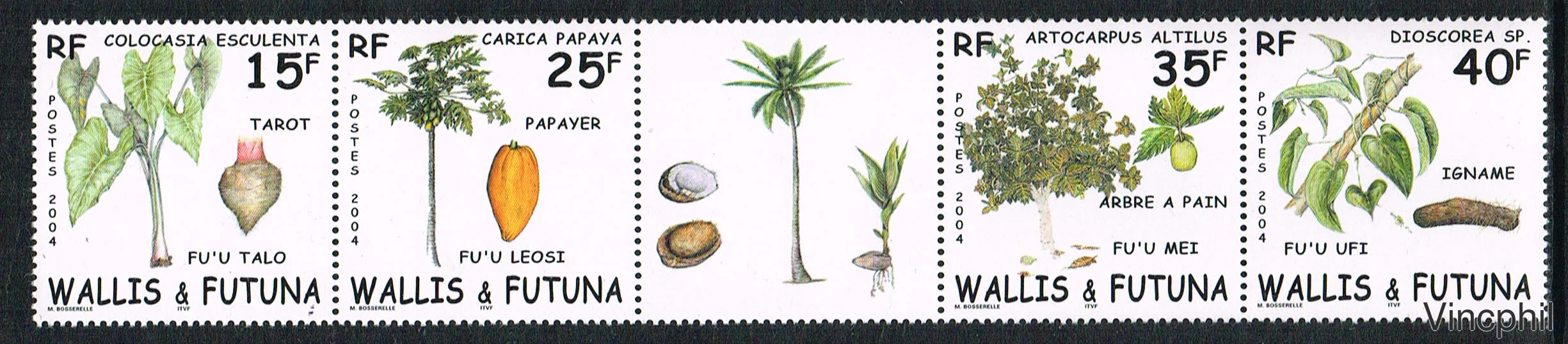 618/621 A ** Plantes