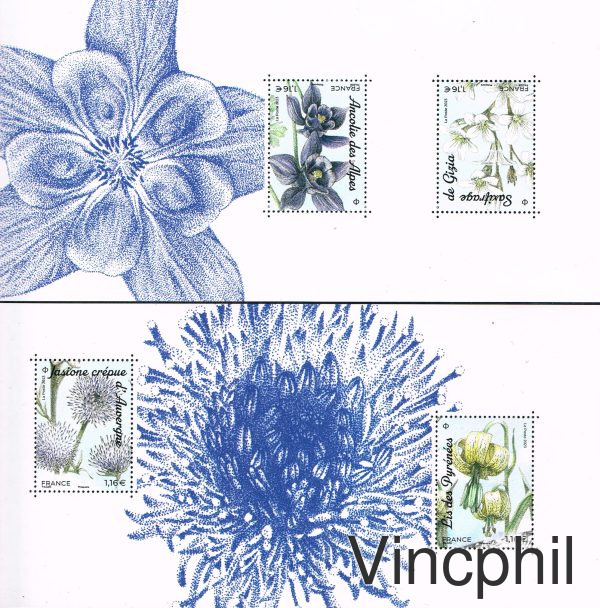 BS 200 ** Fleurs des Montagnes