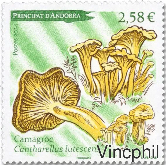914 ** Champignons