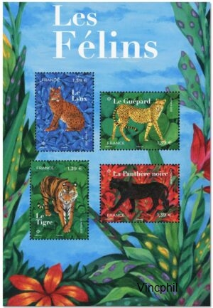F 5848 ** Félins