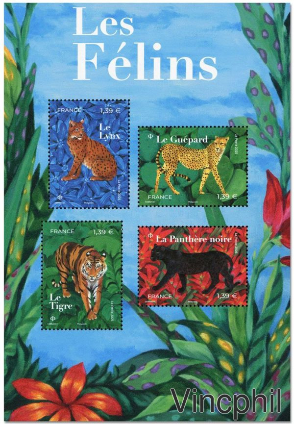 F 5848 ** Félins