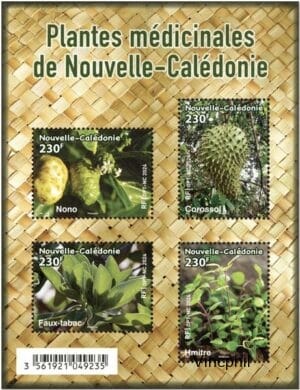F1469  ** Plantes Médicinales