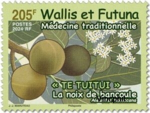 984 ** Médecine Traditionnelle