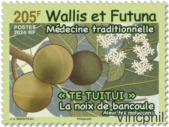984 ** Médecine Traditionnelle