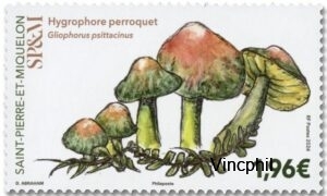 1342 ** Champignons