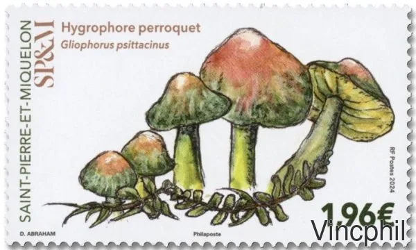 1342 ** Champignons