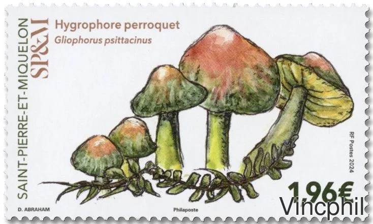 1342 ** Champignons