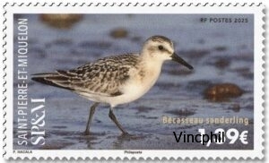 1351 ** Oiseau