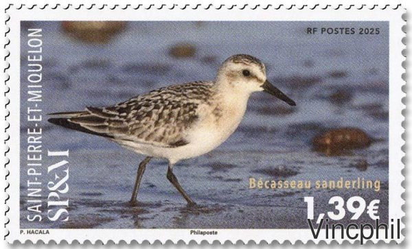 1351 ** Oiseau