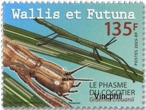 998 ** Insecte