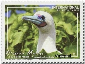 1479 ** Oiseaux Marins