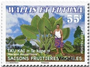 1005 ** Journée de l'Océan