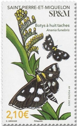 1357 ** Papillons