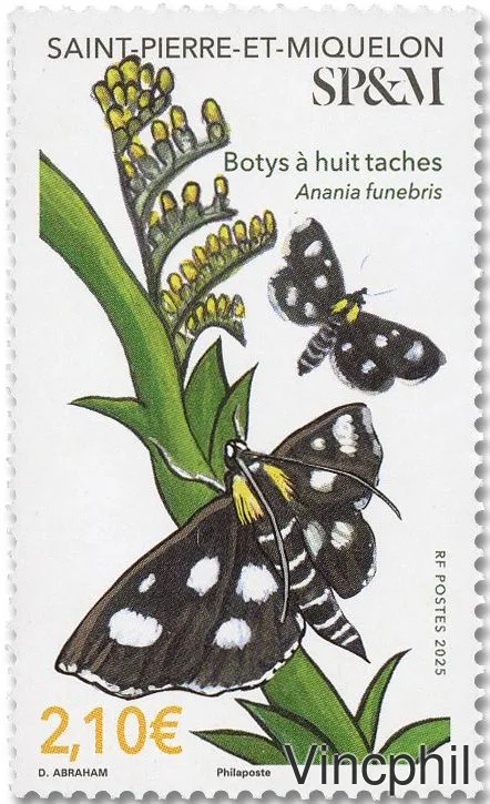 1357 ** Papillons