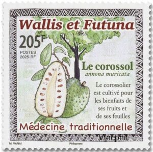 1007 ** Le Corossol
